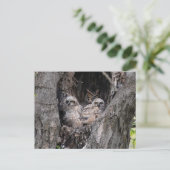 Carte Postale Hibou et owley (Debout devant)