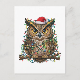 Carte Postale Hibou festif de Noël 2026 Oiseau de fête