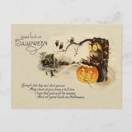Carte Postale Hibou Jack O'Lantern Arbre Citrouille (Devant)