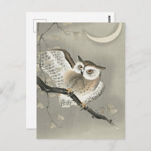 Carte Postale Hibou moyen-duc dans un ginkgo -Ohara Koson -Art V (Devant / Derrière)