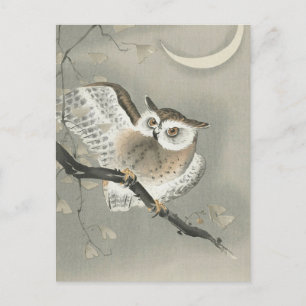 Carte Postale Hibou moyen-duc dans un tableau de Ginkgo par Ohar