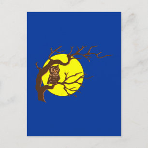 Carte Postale Hibou owl