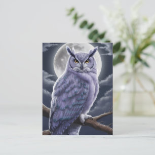 Carte Postale Hibou sous la lumière de la lune