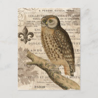 hibou vintage