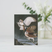 Carte Postale Hiboux de grange, les oiseaux de l'Amérique John (Debout devant)