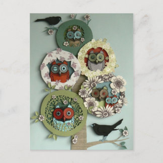 Carte Postale hiboux et oiseaux