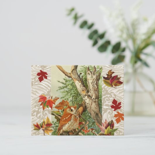 CARTE POSTALE HIBOUX PARMI LES FEUILLES MORTES EN FORÊT (Debout devant)