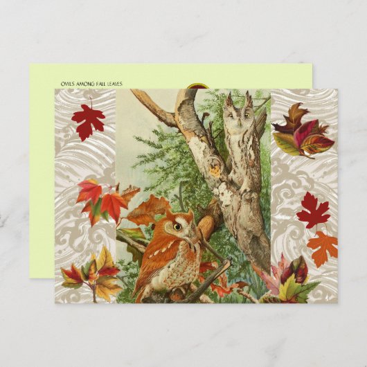 CARTE POSTALE HIBOUX PARMI LES FEUILLES MORTES EN FORÊT (Devant / Derrière)