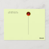 CARTE POSTALE HIBOUX PARMI LES FEUILLES MORTES EN FORÊT (Dos)