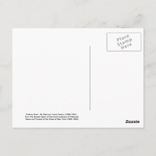 Carte Postale Hickory Shad (Dos)