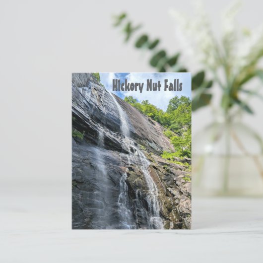 Carte Postale Hicky Nut Falls Chimney Rock NC Cascade (Debout devant)