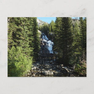 Carte Postale Hidden Falls dans le parc national de Grand Teton