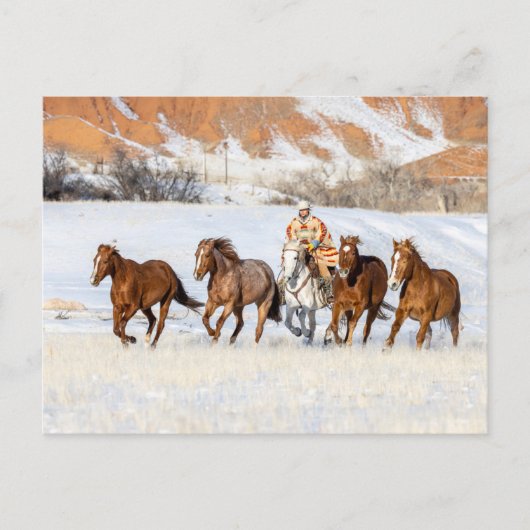Carte Postale Hideout Horse Ranch, Wrangler et Horse (Devant)