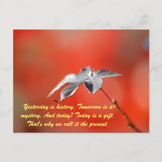 Carte Postale Hier est l'histoire. Demain est un mystère. Et a (Devant)