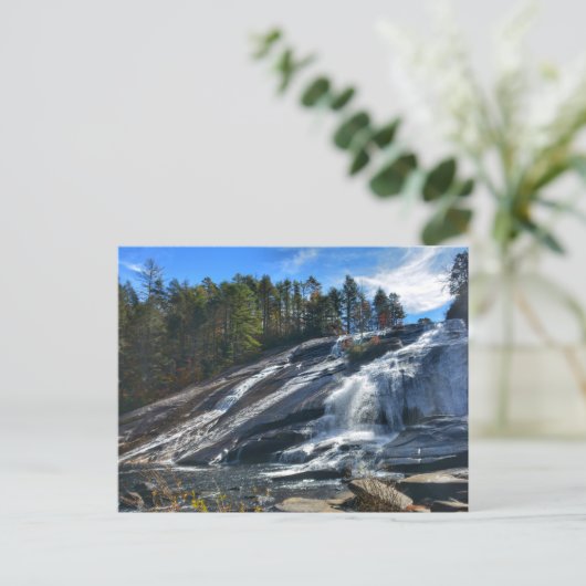 Carte Postale High Falls DuPont State Forest NC Photographie (Debout devant)