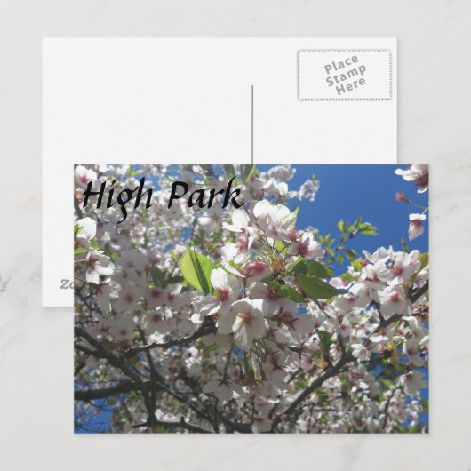 Carte Postale High Park (Devant / Derrière)