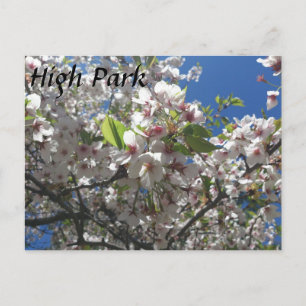 Carte Postale High Park