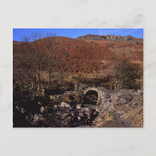 Carte Postale High Suède Bridge Rydal Lake District Angleterre