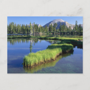 Carte Postale HIGH UINTAS WILDERNESS, UT, US, péninsule,