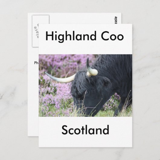 Carte Postale Highland Co (Devant / Derrière)