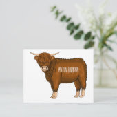 Carte Postale Highland cow (Debout devant)
