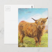 Carte Postale Highland Cow (Devant / Derrière)