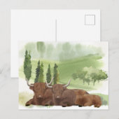 Carte Postale Highland Cow Family Aquarelle Écosse (Devant / Derrière)