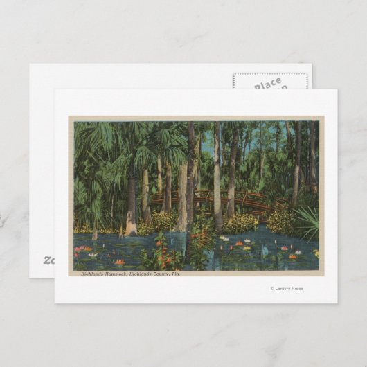 Carte Postale Highlands County, FL - Vue sur Highlands Hammock (Devant / Derrière)