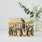 Carte postale hilarante du chœur de Gator de Flori (Debout devant)