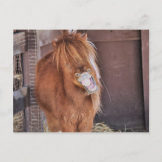 Carte Postale Hilarious Horsey