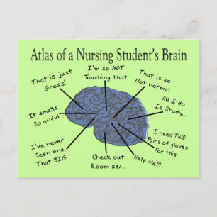 Carte Postale Hilarious Nursing Student Brain