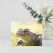 Carte Postale Hill End Toad (Debout devant)