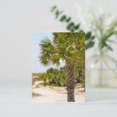 Carte Postale hilton head georgia beach and ocean "south beach" (Debout devant)