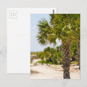 Carte Postale hilton head georgia beach and ocean "south beach" (Devant / Derrière)