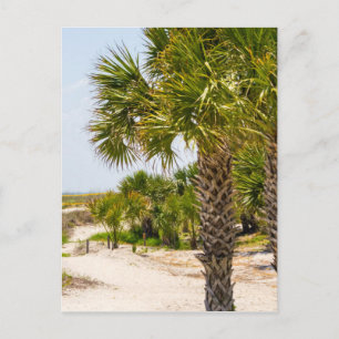 Carte Postale hilton head georgia beach and ocean "south beach"