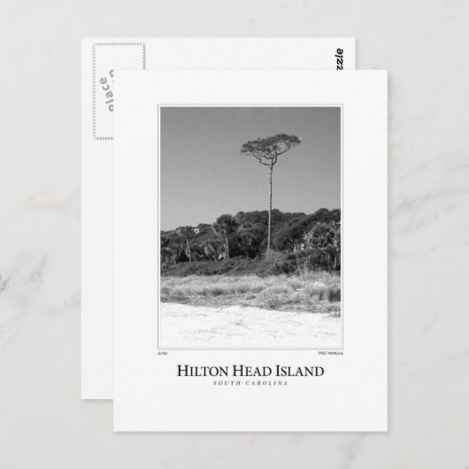 Carte Postale Hilton Head Island (Devant / Derrière)