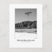 Carte Postale Hilton Head Island (Devant)