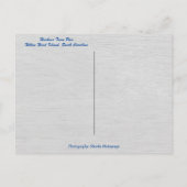 Carte Postale Hilton Head Island Harbour Town Pier Sea Pines (Dos)