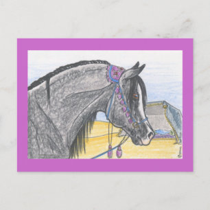 Carte Postale "Hilw bint Umm Ard"