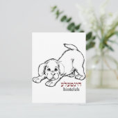 Carte Postale "Hinteleh"-chiot (Debout devant)