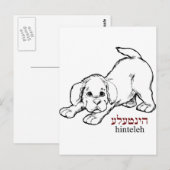 Carte Postale "Hinteleh"-chiot (Devant / Derrière)