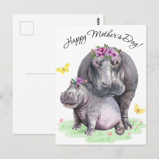 Carte Postale Hippo (Devant / Derrière)