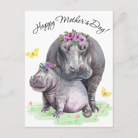 Carte Postale Hippo (Devant)