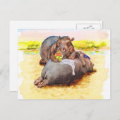 Carte Postale Hippo au soleil (Devant / Derrière)