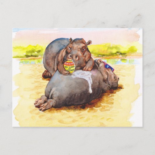 Carte Postale Hippo au soleil (Devant)