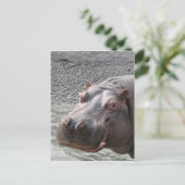 Carte Postale Hippo coquin ! (Debout devant)