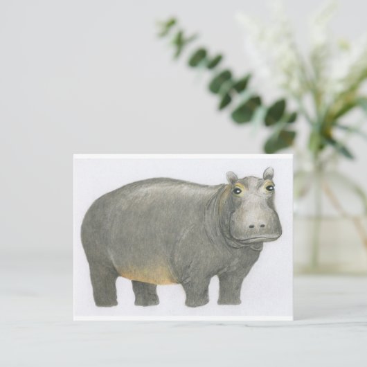 Carte Postale Hippo de base (Debout devant)