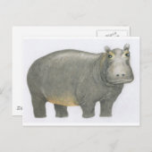 Carte Postale Hippo de base (Devant / Derrière)
