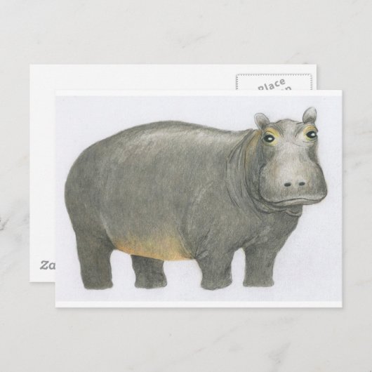 Carte Postale Hippo de base (Devant / Derrière)