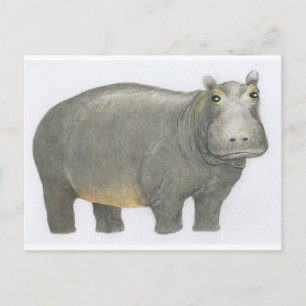 Carte Postale Hippo de base